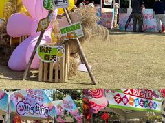 -桃花涧
