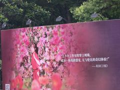 -上海文化广场