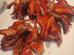 -新雅粤菜馆(南京东路店)