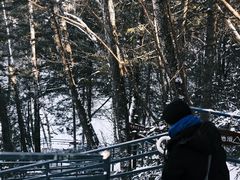 -峡谷浮石林景区