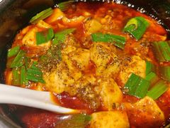 -陈麻婆豆腐总店