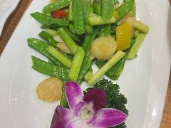 芦笋香煎元贝-周锦记广式餐厅