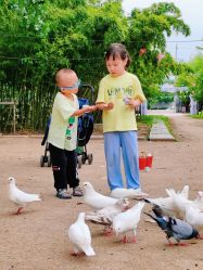-上美四季动物农场