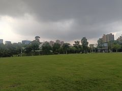 -白石龙音乐公园