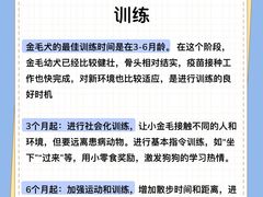 -翊宠yipet猫狗购宠庄园