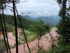 -鹿院坪生态旅游景区