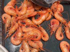 -浩运·海鲜青岛菜·海胆水饺(石老人店)