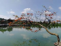 -星湖旅游景区七星岩