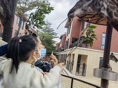 -灵玲国际马戏城