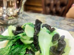 木耳炒上海青-新疆伊宁远征餐厅