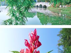 -中国科学院华南植物园