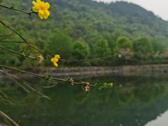 -兰亭风景区