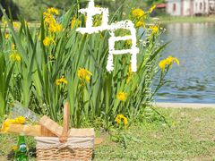 -上海共青森林公园