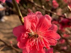 -水濂山森林公园