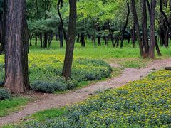 -森林公园(尖草坪区)