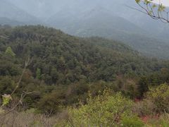 -木兰云雾山