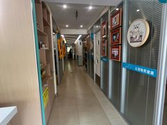 -美迦爱-牙专科·兔科·骨科诊疗中心(北苑店)