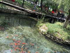 -水磨沟公园