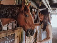 -梦娜斯庄园