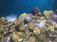 -福州罗源湾海洋世界旅游区