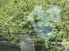 -VIP 威尔仕健身·游泳(嘉华中心店)