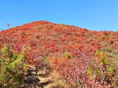 -周口店坡峰岭风景区