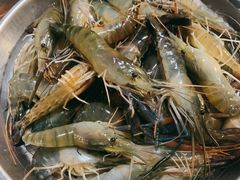 罗氏虾-渔文乐农庄