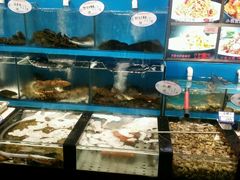 -添福来墨鱼饺子 · 海鲜东北菜(大连星海·黄浦路店)