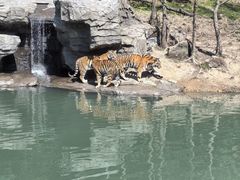 -宁波野生动物园