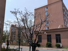 -上海嘉宁·心理咨询中心