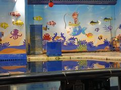 -太平洋海底世界