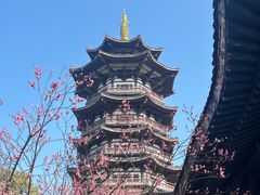 -洋湖国家湿地公园