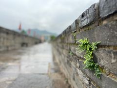-台州府城(江南长城)