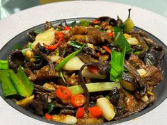 -凯鸽火锅(华林新天地店)