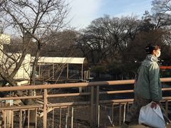 -井之头恩赐公园