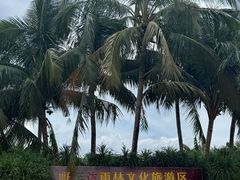 -呀诺达热带雨林