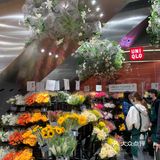 全球旗舰店[得意]北京首家优衣库花店🌹[礼花]绿啦❗️