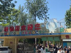 -保定市动物园