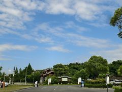 -八大山人梅湖景区