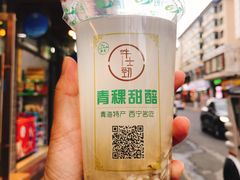 -德禄酸奶(莫家街店)