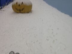 -哈尔滨热雪奇迹