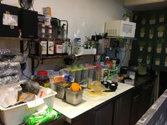-小团圆糖水铺(襄阳南路店)
