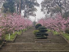 -南山植物园