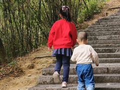 -广州白江湖森林公园