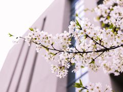 -南京航空航天大学(将军路校区)