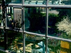 -北马山庄植趣咖啡