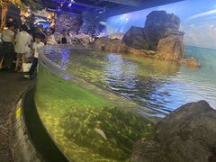 -江和美海洋公园