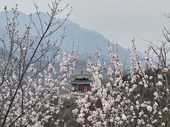 -居庸关长城