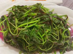 -小杨酒家(华苑小区店)