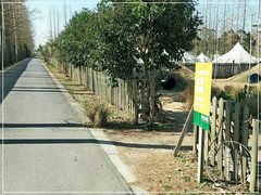 -前小桔亲子创意农场·草莓采摘·露营烧烤